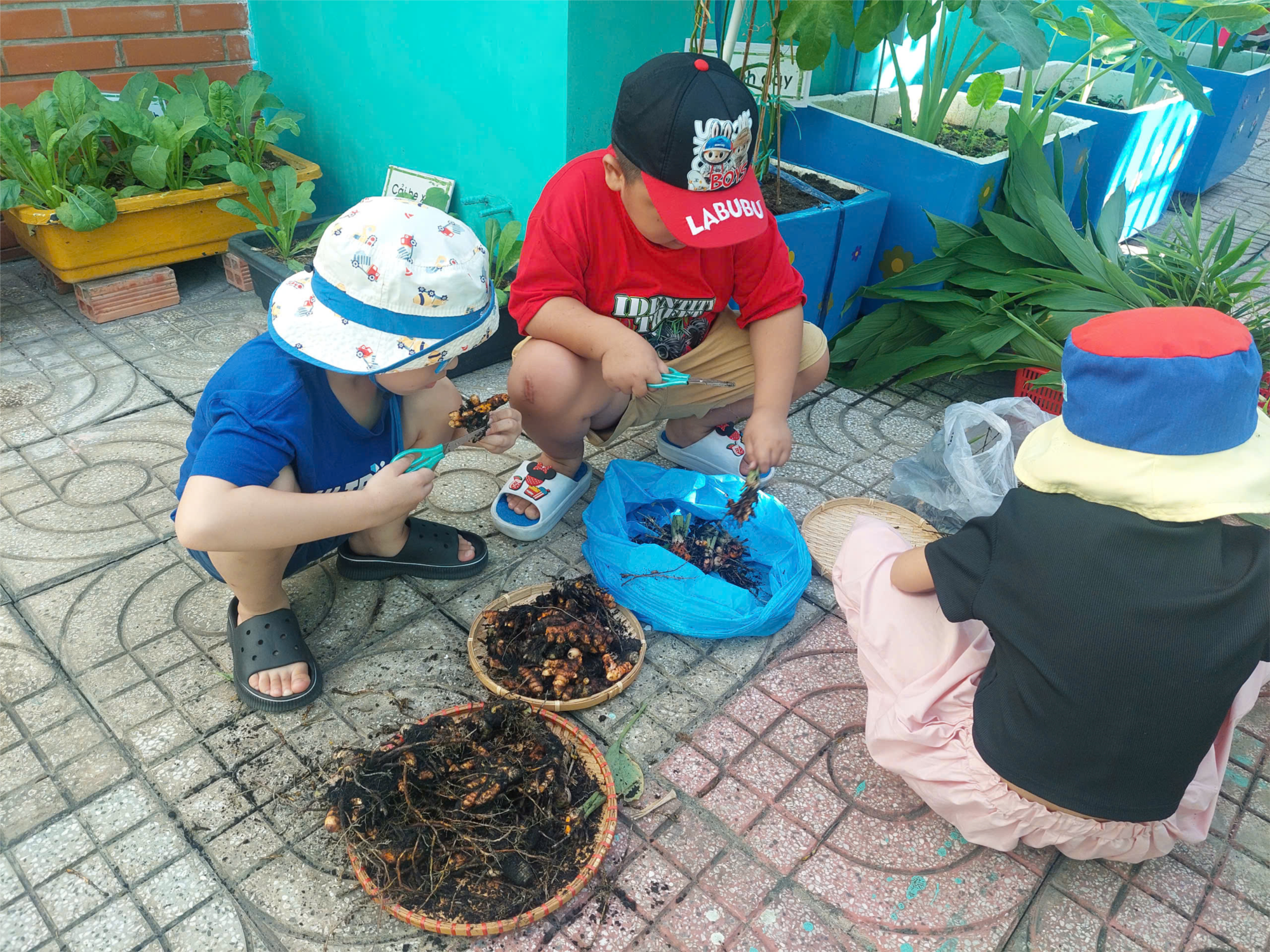 Ảnh đại diện