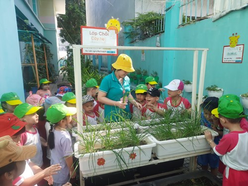 Hoạt động của trẻ - lớp chồi 4