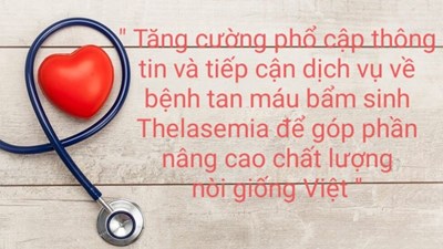 Thực hiện công văn số 689/GDĐT của phòng giáo dục và đào tạo quận Tân Bình ngày 4/5/2024 về việc triển khai các hoạt động truyền thông hưởng ứng ngày Thalassemia thế giới 8/5. Trường MN Vườn Hồng hưởng ứng tuyên truyền với chủ đề:  Tăng cường phổ cập thông tin và tiếp cận dịch vụ về bệnh tan máu bẩm sinh Thalassemia để góp phần nâng cao chất lượng nòi giống Việt 