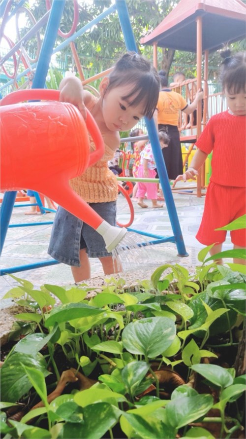 Kỹ Năng Chăm Sóc Cây Xanh