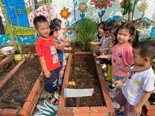 Hoạt động ngoài trời:Các cháu gieo hạt bắp 🌽🌽- Lớp Họa mi 2