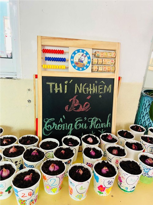 Bé lớp Lá trải nghiệm trồng hành tím