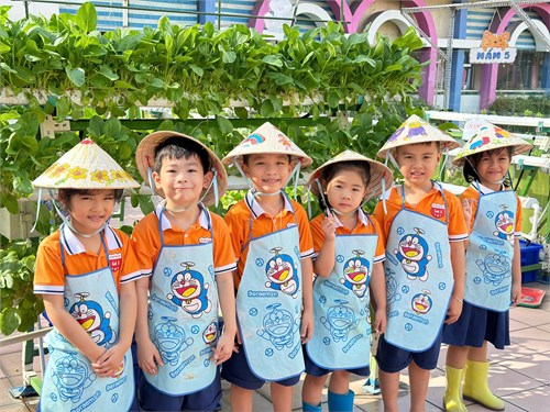 Bé lớp Lá hào hứng thu hoạch rau thủy canh
