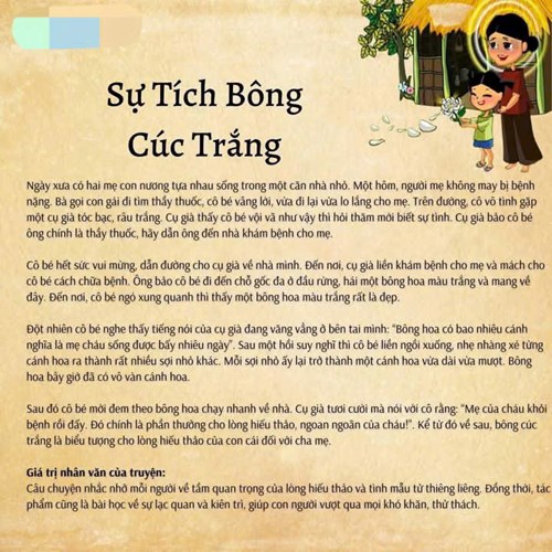 Truyện  sự tích bông cúc trắng 