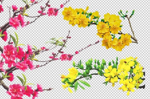 Đề Tài: Trang Trí Cành Mai ,Cành Đào Ngày TếtTài: Trang Trí Cành Mai ,Cành Đào Ngày Tết