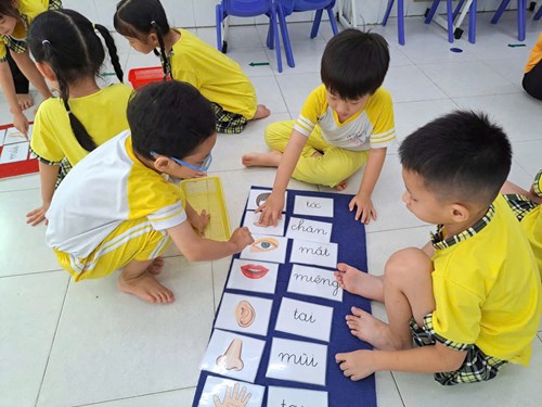 LQCV: Ghép hình với thẻ từ Các bộ phận bên ngoài cơ thể- Lớp Lá 1