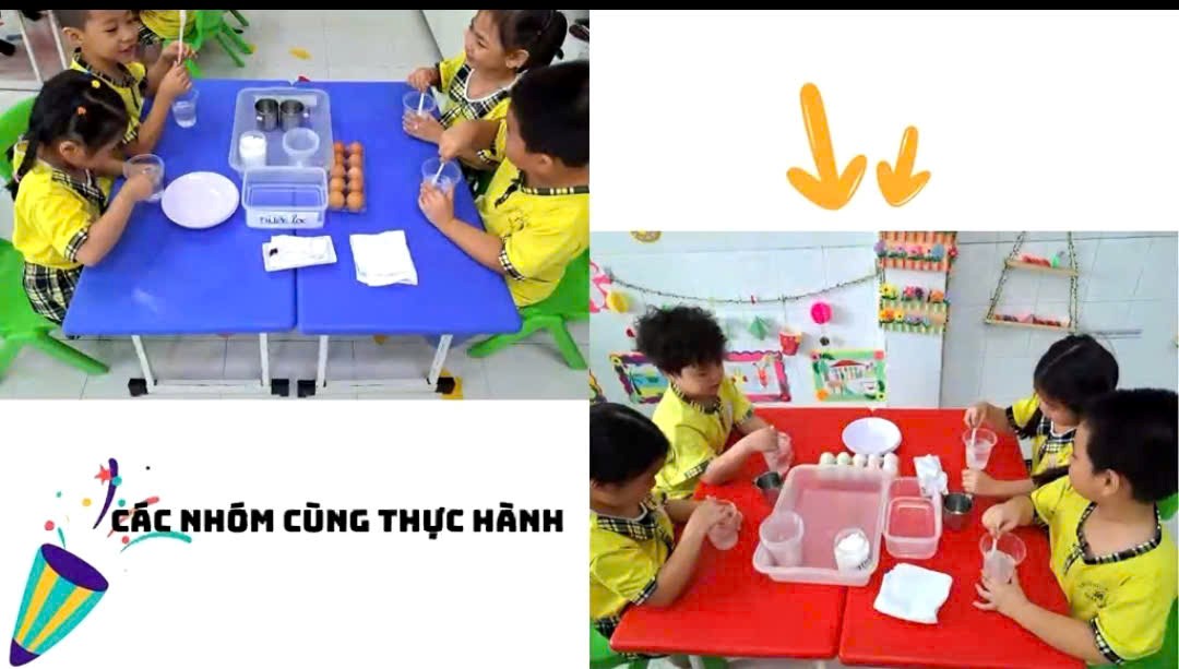 Khám phá trứng chìm, trứng nổi