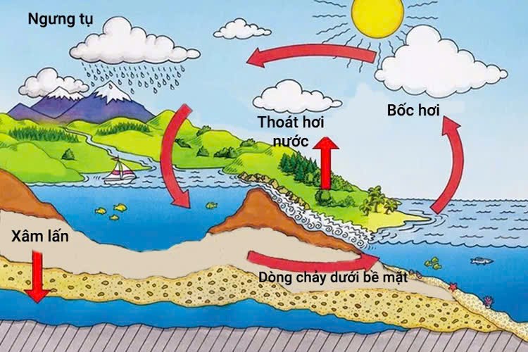 Khám phá vòng tuần hoàn của nước