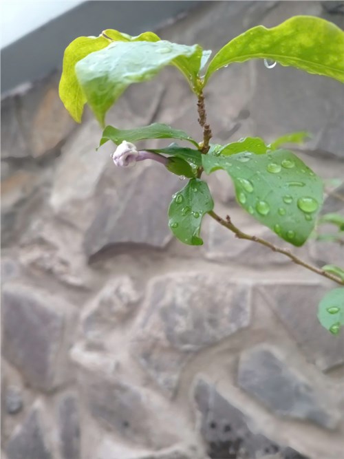 Những bài thơ cho trẻ mầm non