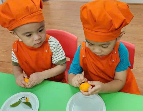 Hoạt động bé tập làm nội trợ