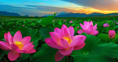 Luật đấu thầu số 22