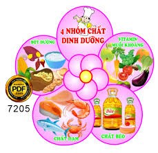 Thực đơn của bé