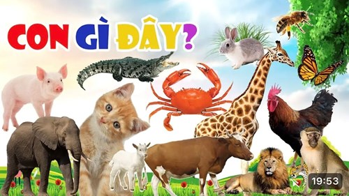 Dạy trẻ kĩ năng nhận biết các con vật
