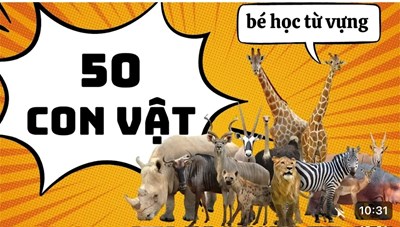 Trẻ học các con vật