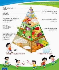 Thực đơn của bé