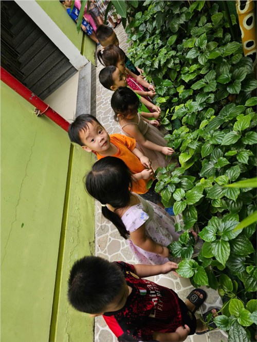 Bé quan sát vườn cây