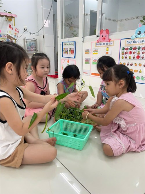 Hoạt động giờ học
