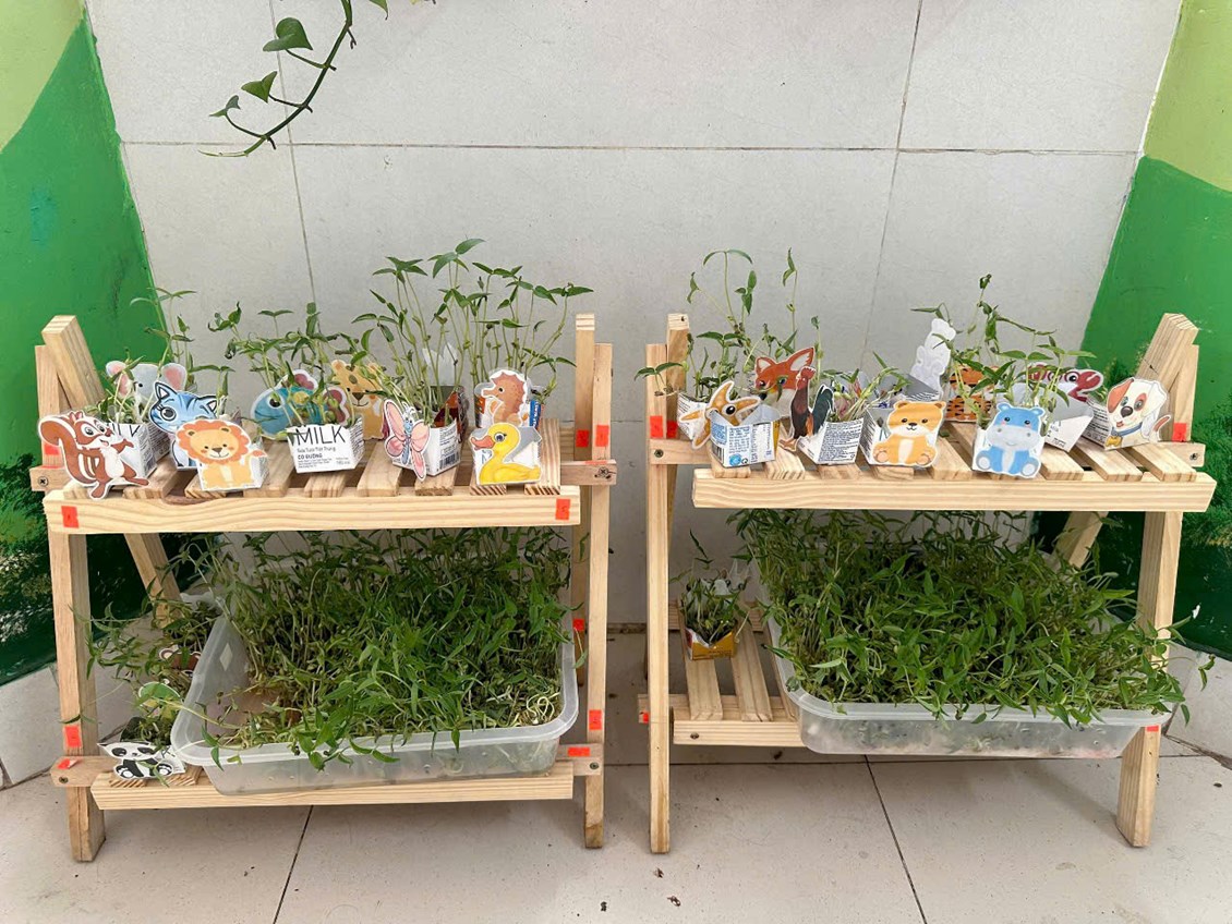 🌻 Hoạt động trải nghiệm: Làm giá đỗ
🌻 Lớp: Chồi 1