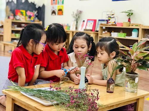 Thông tư 29/2024/TT-BGDĐT
