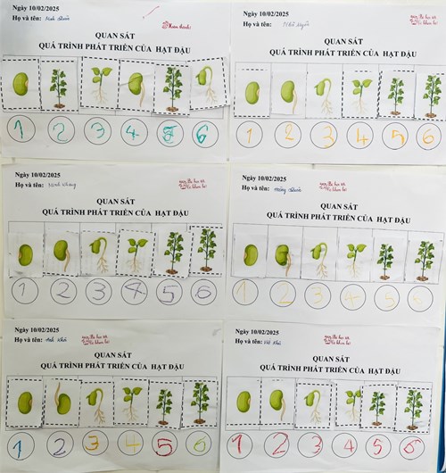 Các bạn lớp lá 4 trong giờ học Quá trình phát triển của cây.