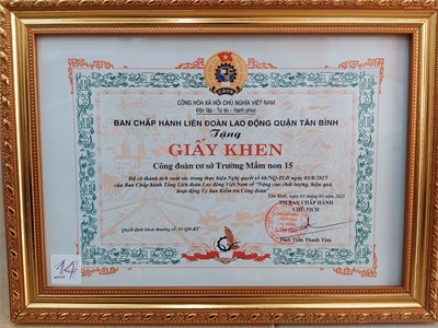 CĐCS trường Mầm non 15 nhận giấy khen của LĐLĐ quận Tân Bình  Đã có thành tích xuất sắc trong thực hiện Nghị quyết số 6b/NQ-TLĐ ngày 03/8/2015 của Ban Chấp hành Tổng Liên đoàn Lao động Việt Nam về  Nâng cao chất lượng, hiệu quả hoạt động Ủy ban Kiểm tra Công đoàn