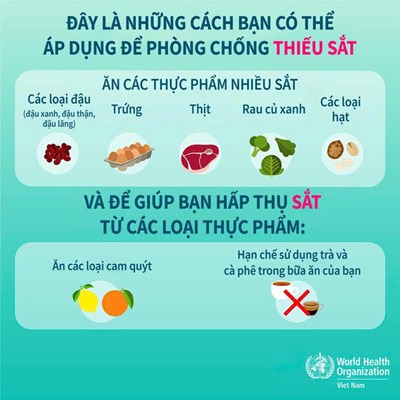 Các thực phẩm bổ sung chất sắt cho trẻ