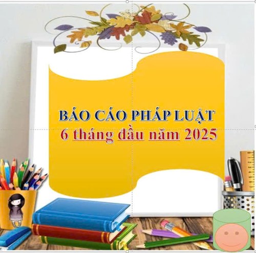 Báo cáo Pháp luật 6 tháng đầu năm 2025