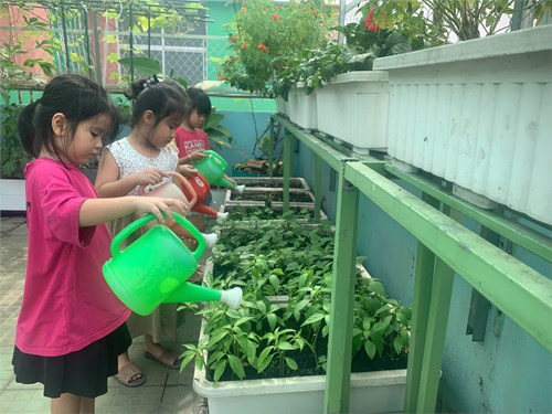 Hoạt động vui chơi ngoài trời