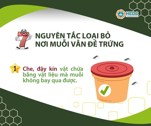 7 nguyên tắc loại bỏ nơi muỗi vằn đẻ trứng.
