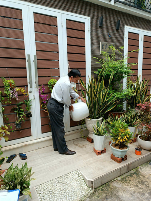 Mùa mưa đã bắt đầu, muỗi vằn sẽ phát triển mạnh và bệnh sốt xuất huyết lại gia tăng.