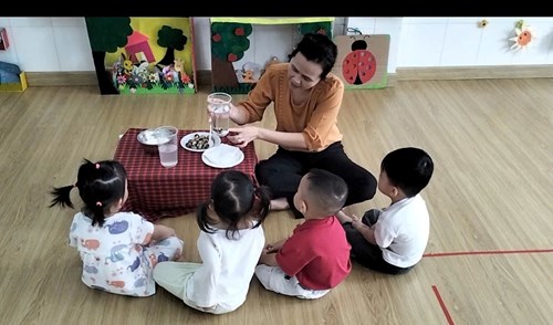 Hoạt Động Trãi Nghiệm : Trứng Chìm - Trứng Nổi. Nhóm Nhà Trẻ ( 24 - 36 Tháng)