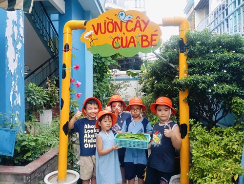 Hoạt động trải nghiệm : Bé chăm sóc và thu hoạch vườn rau - Lớp 5-6 tuổi(1)