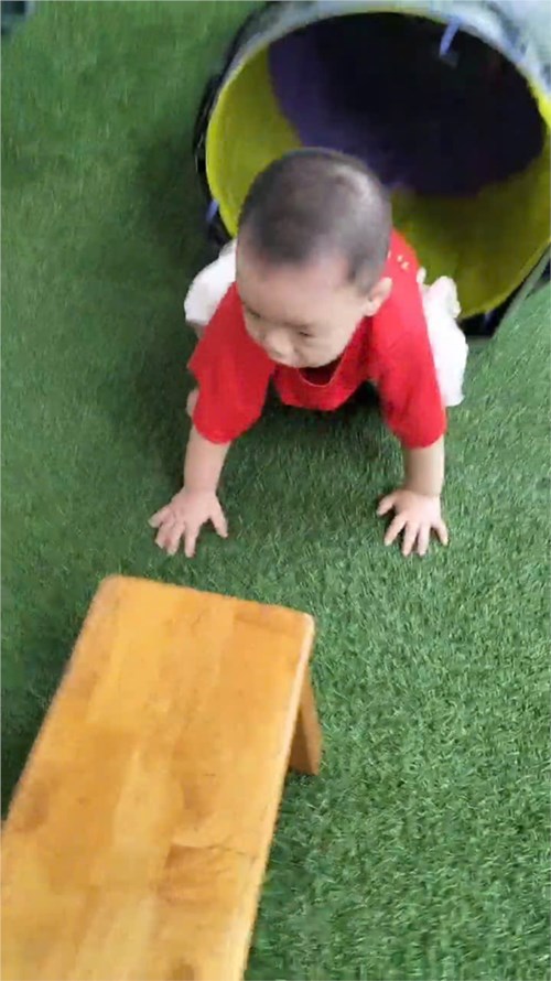 Đề Tài: Bò Chui Qua Hầm -  Đi Trên Ghế Băng . Nhóm Nhà trẻ 24 - 36 Tháng