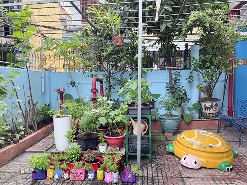 Trồng Cây Kỷ Niệm Ngày Sinh Nhật Bác. Nhóm Nhà Trẻ 24 - 36 Tháng