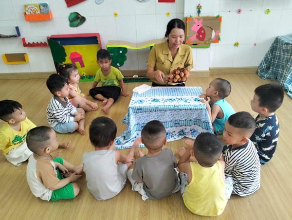 Nhận Biết Qủa Vải. Nhóm Nhà Trẻ 24 - 36 Tháng