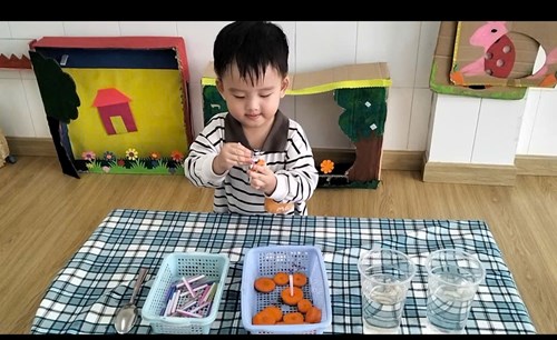 Thí Nghiệm Vui   Cà Rốt Nổi Cà Rốt Chìm . Nhóm Nhà Trẻ 24 - 36 Tháng