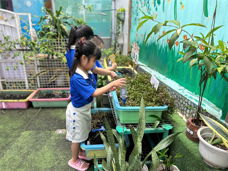 Lá 2 :Ngày hội trồng cây nhớ Bác