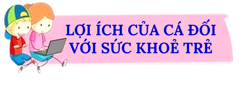 Lợi ích của cá đối với sức khoẻ trẻ