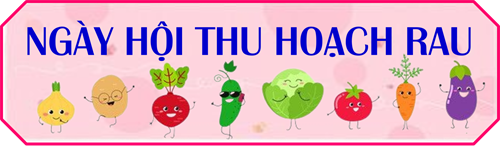 Ngày hội thu hoạch rau
