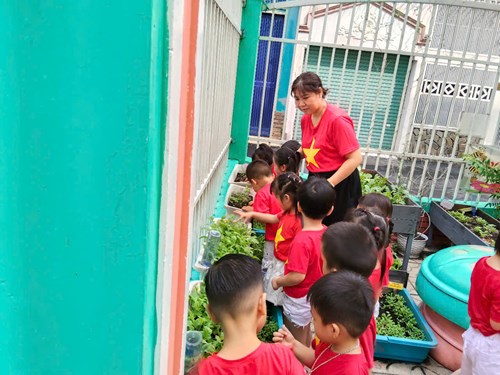 Các bé lớp mầm 1 tham quan vườn rau của lớp