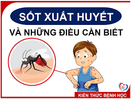 Bệnh sốt xuất huyết ở trẻ