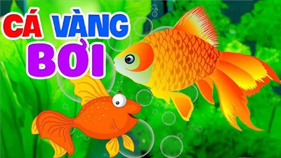 Bài Hát  Cá Vàng Bơi 