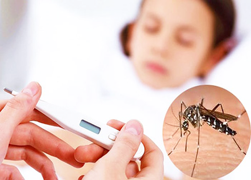 Sốt xuất huyết: Quen thuộc mà vẫn hiểu lầm!