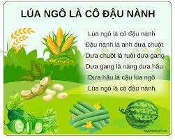 Trường Mầm Non 8: Bài đồng dao  Lúa ngô là cô đậu nành    