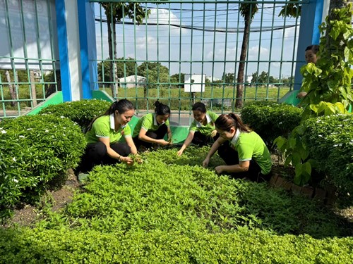 Hoạt động hưởng ứng tết trồng cây, kỷ niệm sinh nhật Bác ngày 19/5