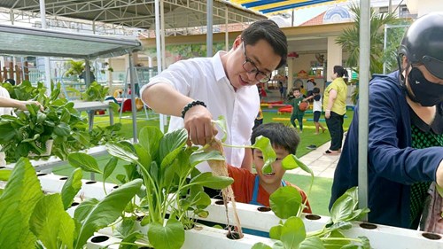 Thực hiện mô hình hoạt động bán rau trực tiếp cho phụ huynh học sinh tại vườn rau thủy canh trường Mầm non Bé Ngoan