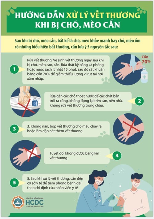 Hướng dẫn xử lý vết thương khi bị chó, mèo cắn
