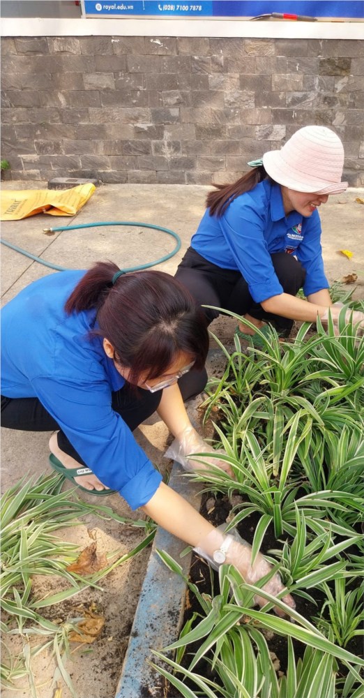 Chi đoàn Trường Mầm non Cát Tường thực hiện hoạt động trong tháng Thanh niên