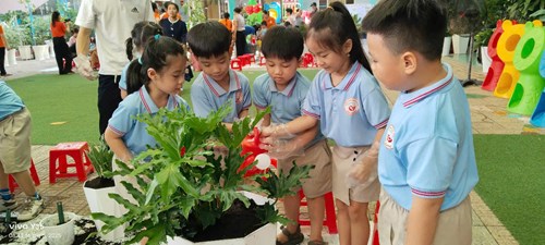 Lễ hội trồng cây nhớ bác