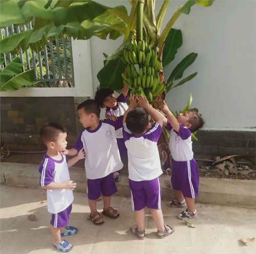 🌎Trường Mầm Non Hoa Lan Cùng béHưởng Ứng Giờ Trái Đất